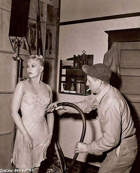 10347694_10154088755306983_8181529375579157199_n