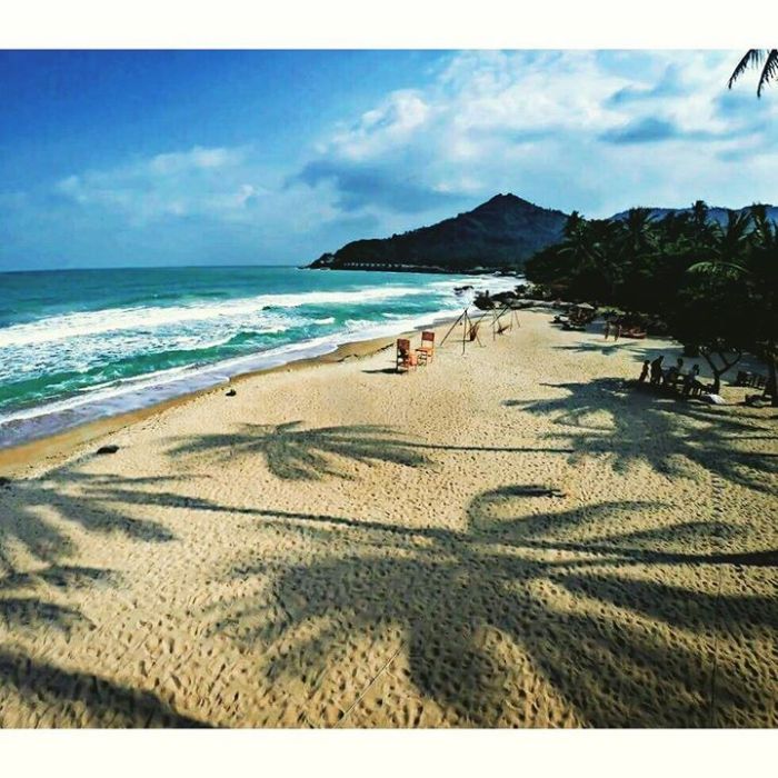 12764456_10154018288953993_5512391176604870963_o