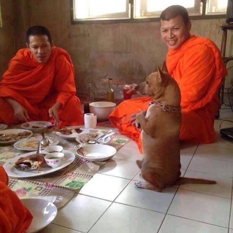 13267988_565698316967152_5078707091062242781_n