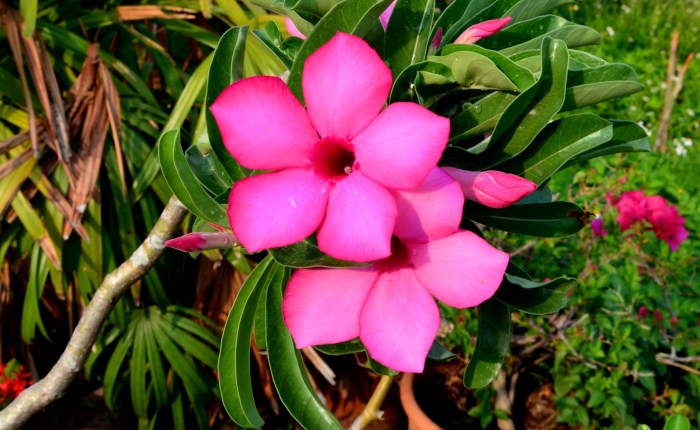 My latest book on&nbsp;Amazon