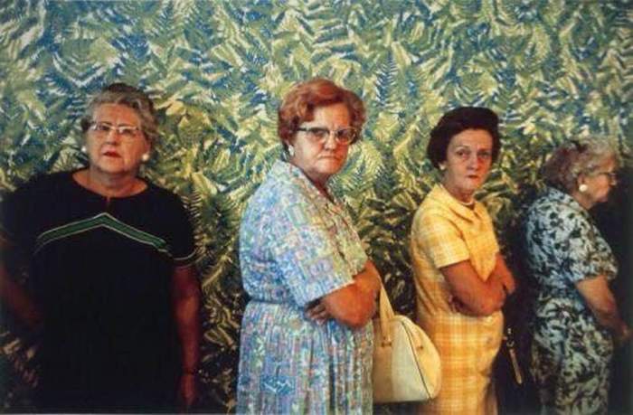 32464501_2062464337303169_3388004399337963520_n