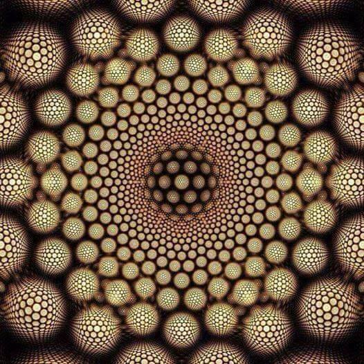 32743369_2062344127420625_8960278845861134336_n