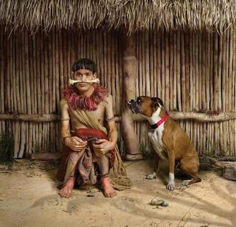 41644204_2344674422216659_3519178202410909696_n