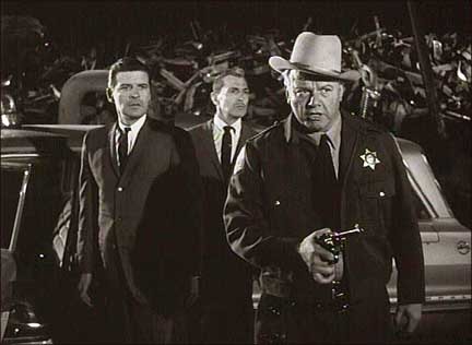 109456494_10223838343177191_1126462682195468319_n