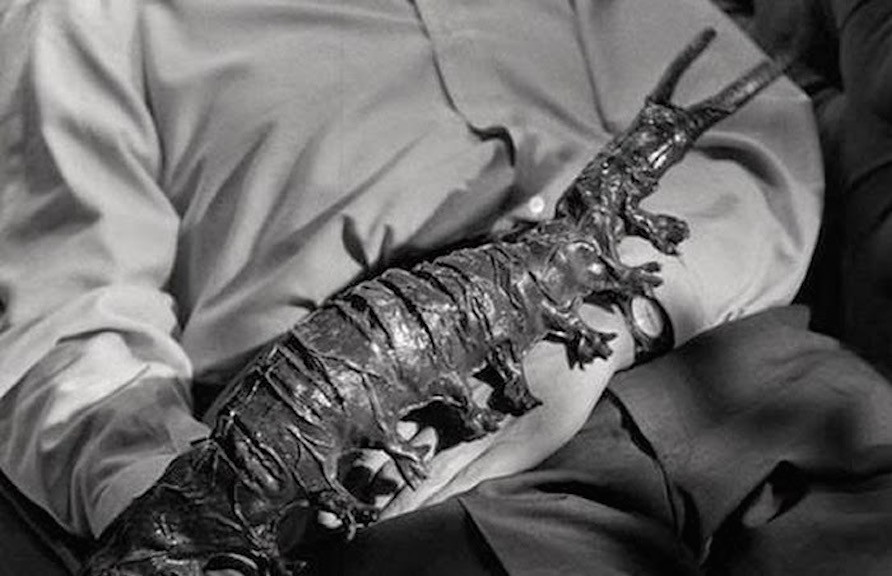 116154537_10223856572472912_357788025108631430_n