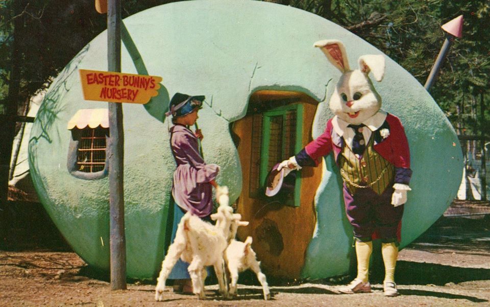 117126221_10219446735931899_8669958650575015136_o